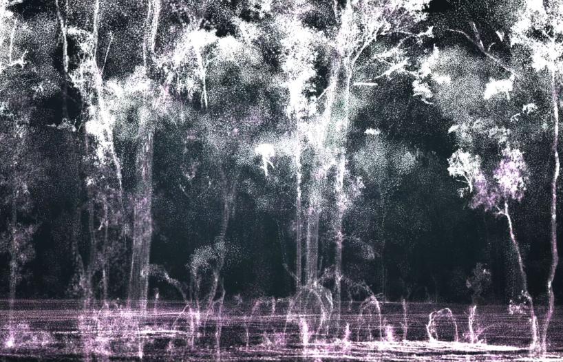 stylised image of trees