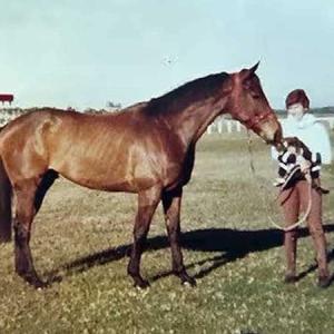 A man standing next to a horse at a racetrack